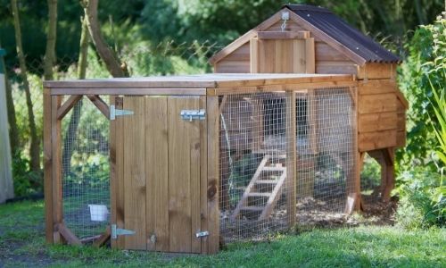 How to Build a Chicken Coop