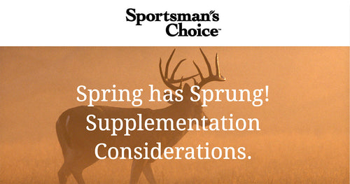 Spring Deer Supplementation Considerations