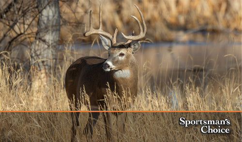 Hunters: It's Not Too Early to Start Planning for Next Year!