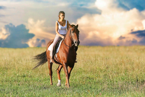 Feeding the Easy Keeper Horse