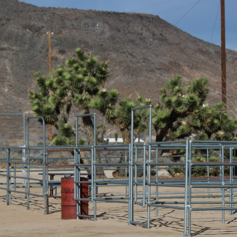 Metal corral pens 