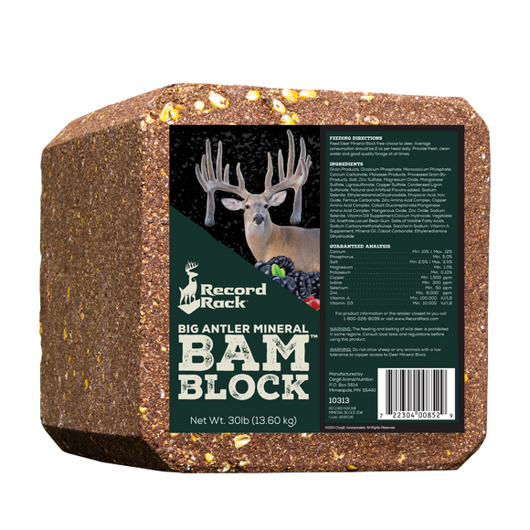 Record Rack® Big Antler Block (30 lbs)