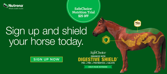 Advertisement featuring a horse with an illustrated digestive system highlighting benefits of SafeChoice® feed with Digestive Shield™ from Nutrena®. The green background displays text reading 'Sign up and shield your horse today' and promotes a $25 off SafeChoice® Nutrition Trial. Additional text emphasizes 'Enhanced with Digestive Shield™: Pre + Pro + Postbiotics + Calcite,' and 'Topline Balance' for horse health. A 'Sign Up Now' button is shown in a green box.