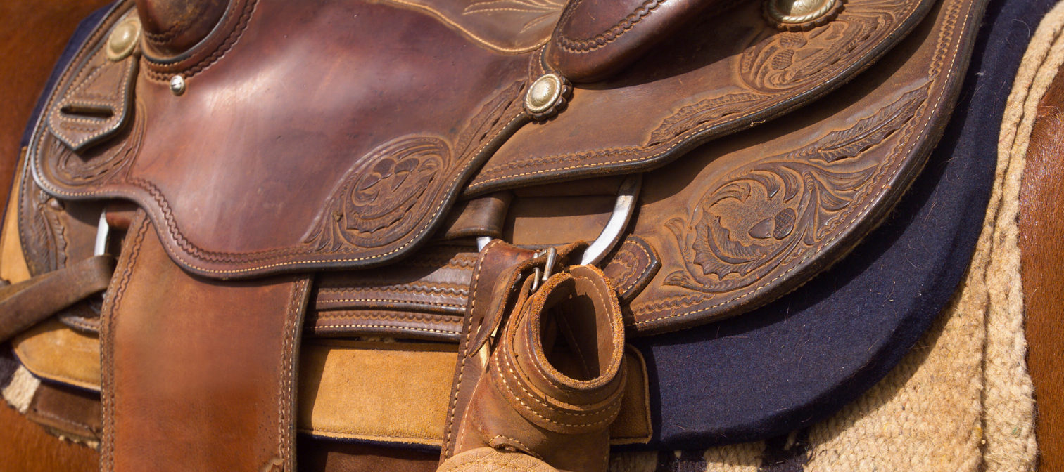 Close up of a western saddle on a horse