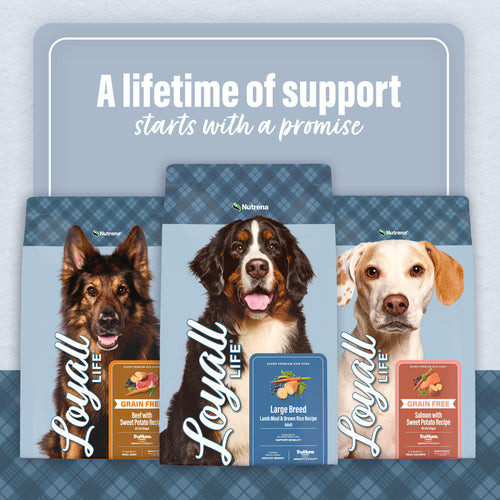 Nutrena® Loyall Life® Lamb Meal & Brown Rice Recipe Adult Dog Food