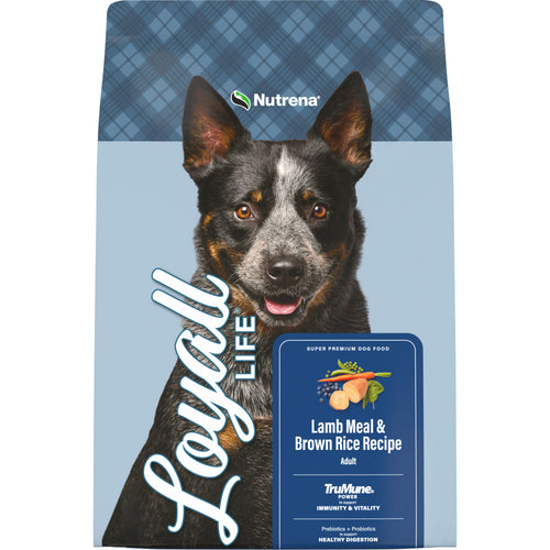 Nutrena® Loyall Life® Lamb Meal & Brown Rice Recipe Adult Dog Food