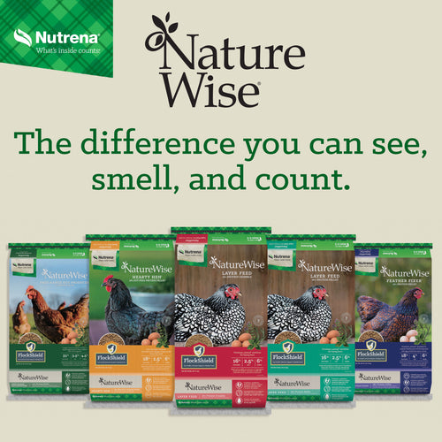 Nutrena® NatureWise® All Flock 20% Protein Pellet