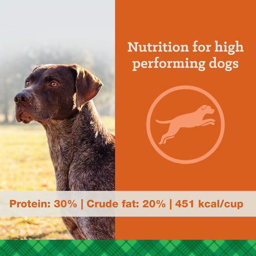 Nutrena® True Professional 30/20 Dog Food