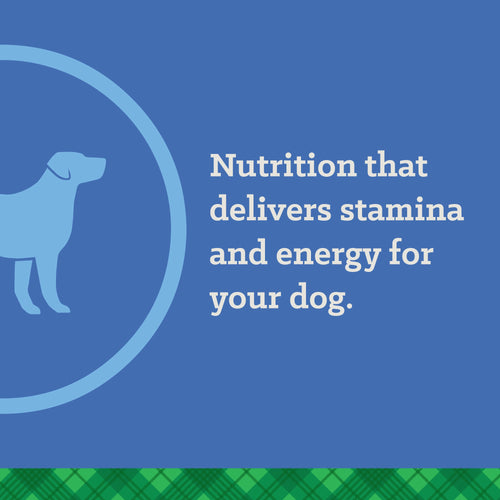 Nutrena® True Active 26/18 Dog Food